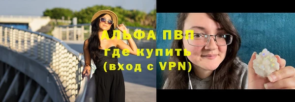 гидра Волоколамск