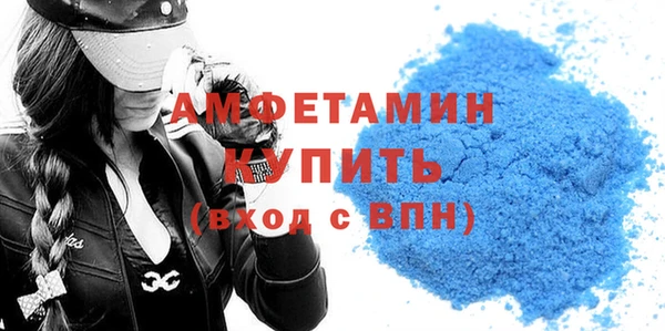 индика Верея