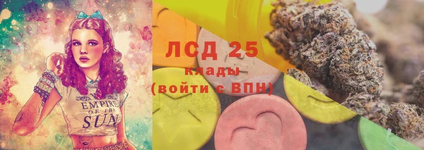 индика Верея
