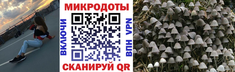 Псилоцибиновые грибы ЛСД  Купить закладки  Корсаков 